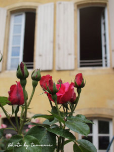 薔薇が印象的なカオールの街