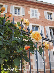 薔薇が印象的なカオールの街