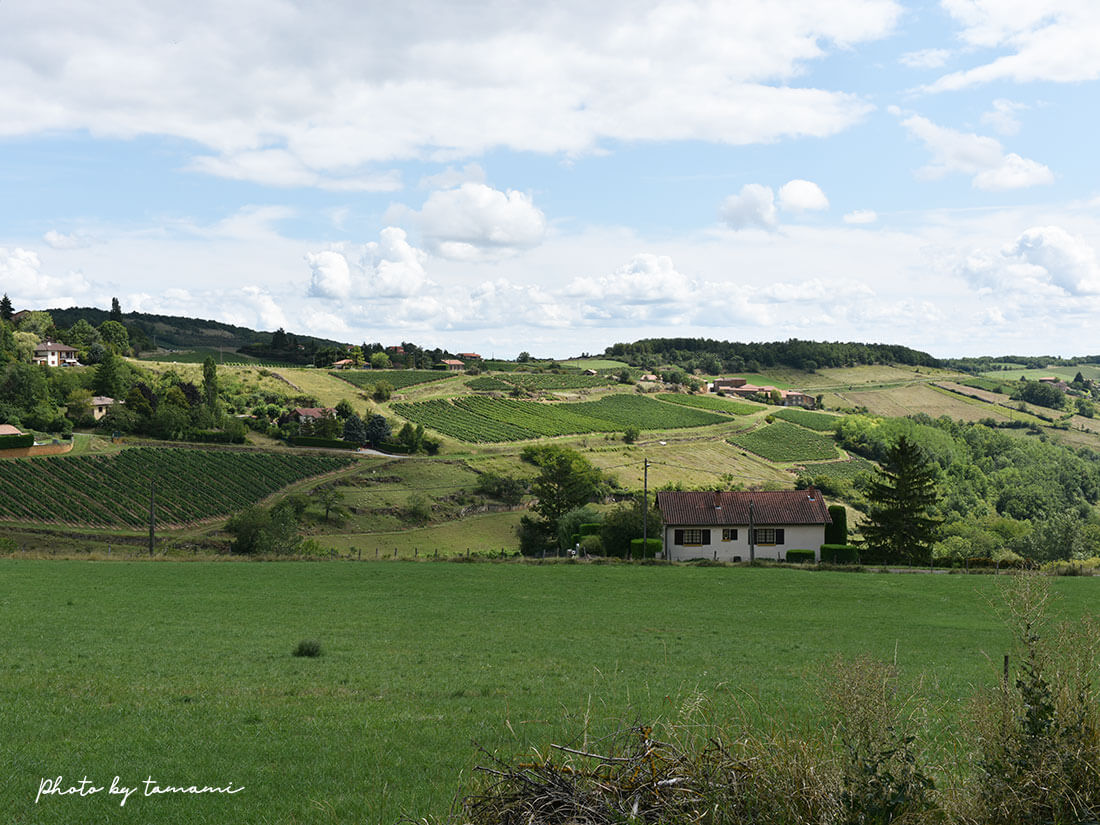 フランスの美しい村Oignt