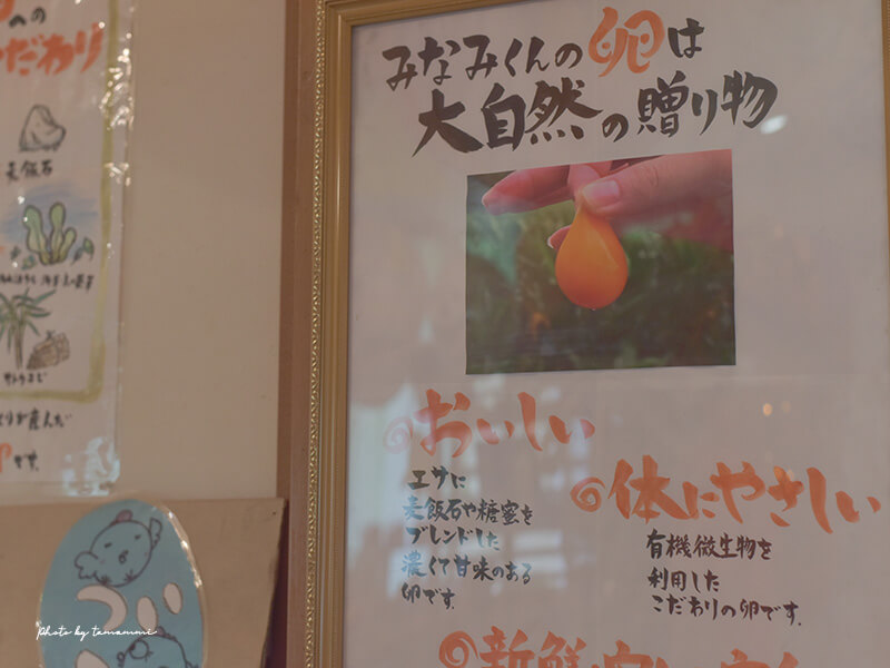 奄美大島のおすすめスイーツはこっこ家の濃厚カスタードシュークリーム