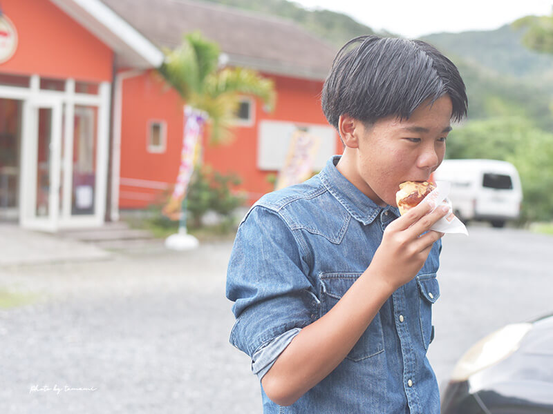 奄美大島のおすすめスイーツはこっこ家の濃厚カスタードシュークリーム