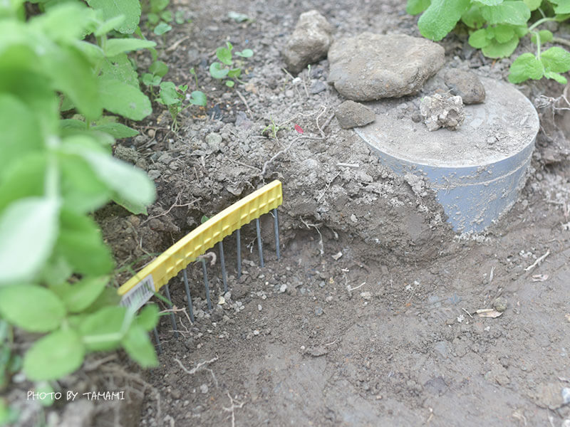 フレンチ＆ナチュラルガーデンにおすすめの小さなレンガの小道の作り方-モグラ対策